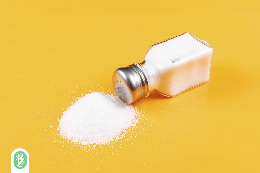 تاثیر نمک و نوع آب در فرآیند شور شدن
